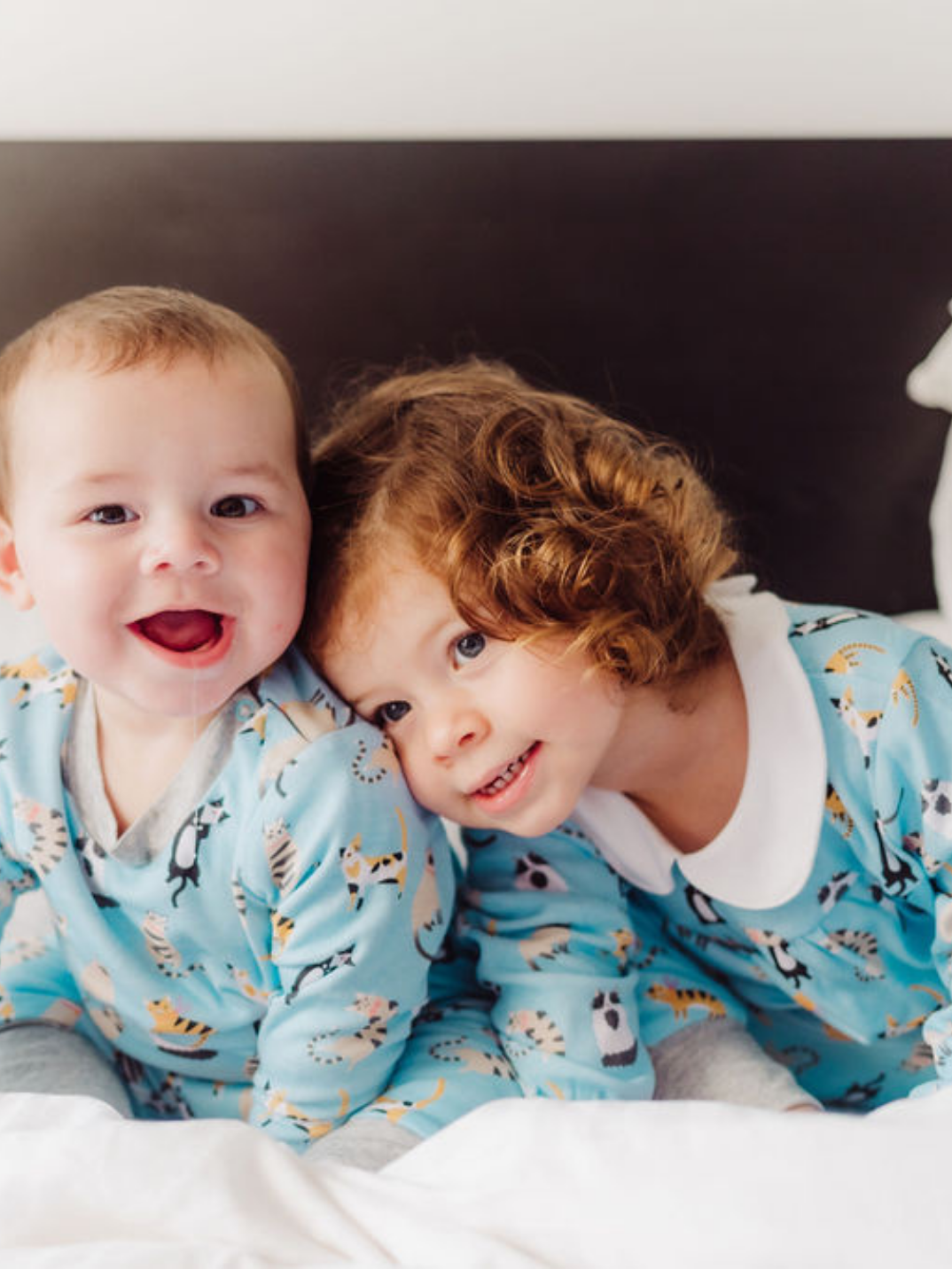 100% certified organic cotton jumper and pants set colorful cats Cotton Pigs eco-friendly children's and baby clothing