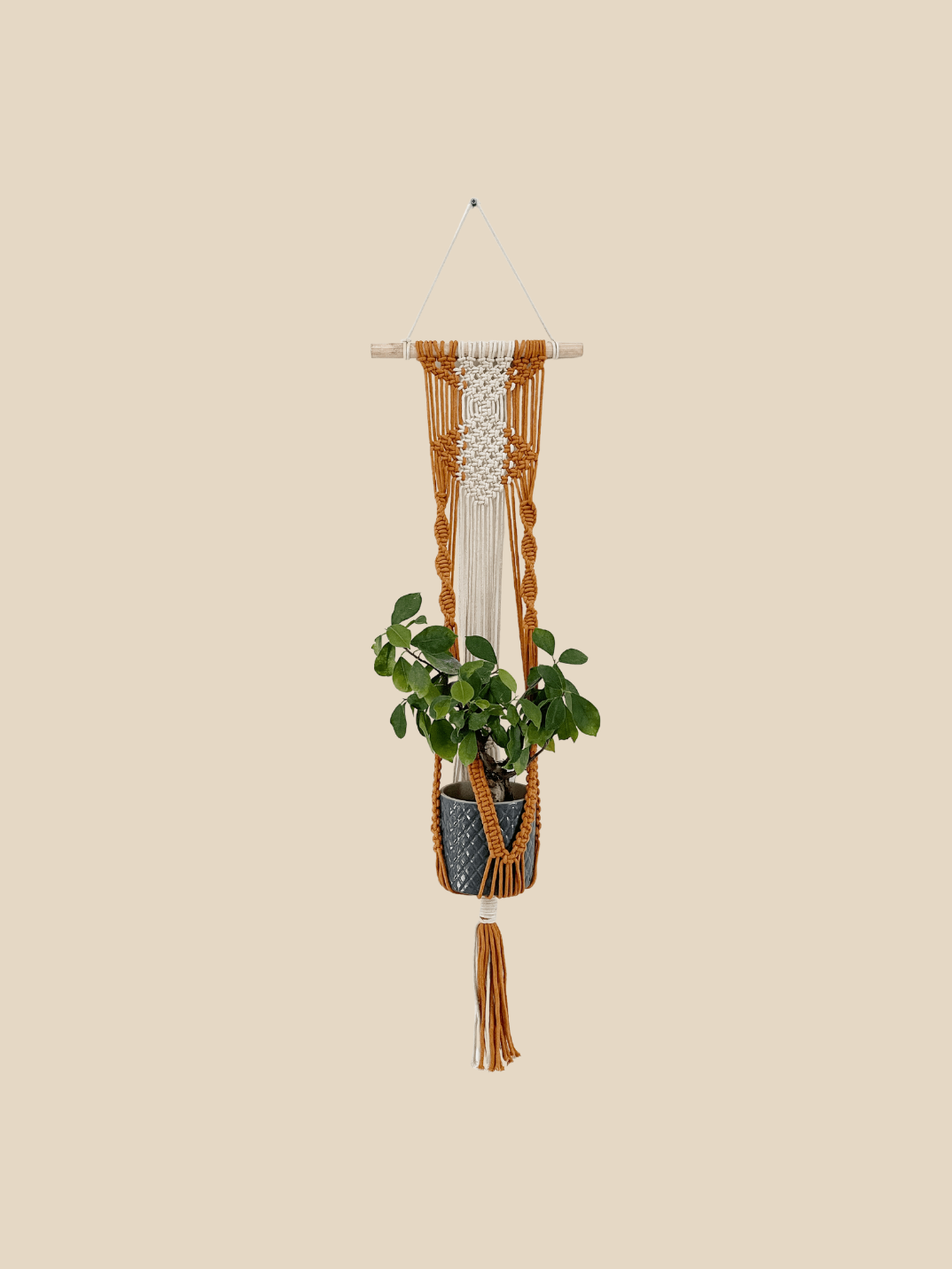 wall hanging planter macrame La Vida Hanging Macramé Planter – Plantdays