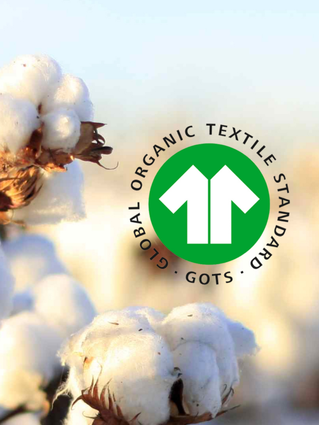 luüna organic cotton night pads (29cm)