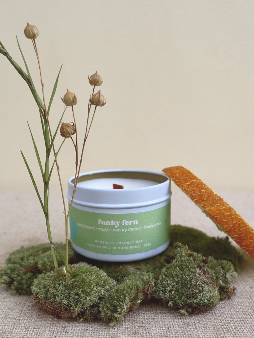 funky fern candle natural eco-friendly candles hand poured made with soy wax and coconut wax ethical sustainable women-owned brands shop sustainable brands