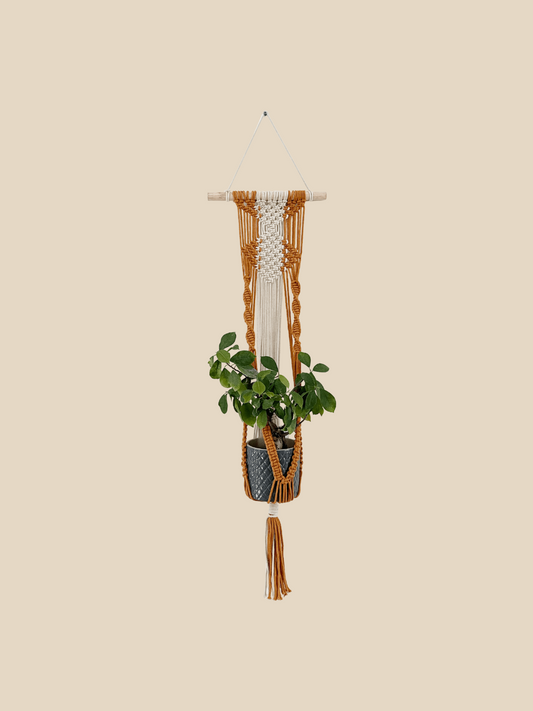 hanging macrame planter handmade in India bohemian wall hanging eco-friendly home decor