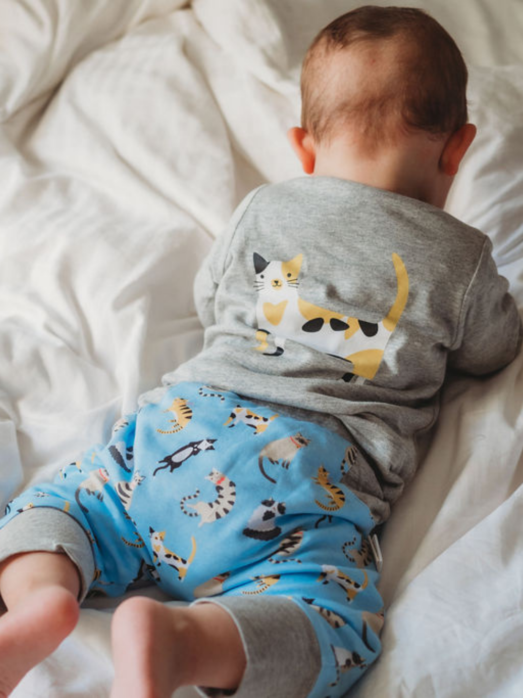 100% certified organic cotton jumper and pants set colorful cats Cotton Pigs eco-friendly children's and baby clothing