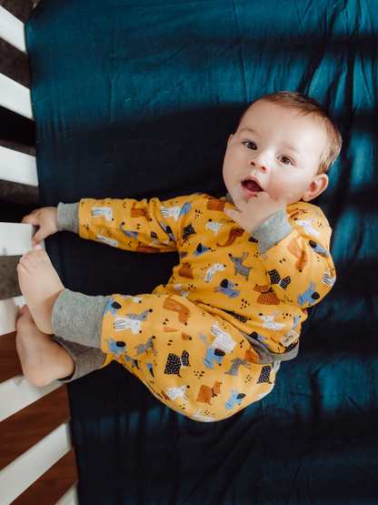 This happy little reversible playtime jumper and matching pants set will put a smile on your face and brighten the day for any baby. Whether you're a dog or cat person, there is one for everyone! Cozy up these super-soft jumpers which are perfect for play time, nap time or a stroll in the park. Shop now.