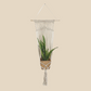 The macrame plant hanger fits many types of round and square pots including hanging ceramic pots, metal pots, plastic pots, glass pots, and more.
