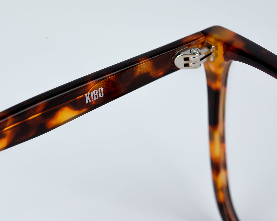 glasses chic sustainable frames biodegradable eco-friendly shop ethical fashion good for the planet